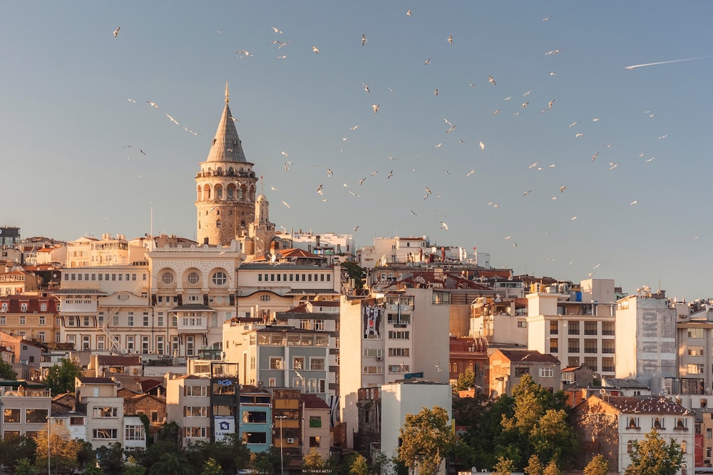 İstanbul'da tarihi şehir manzarası